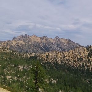 Meet your Posher, Jack